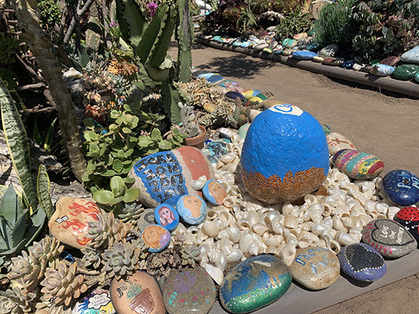 Dave rock garden2