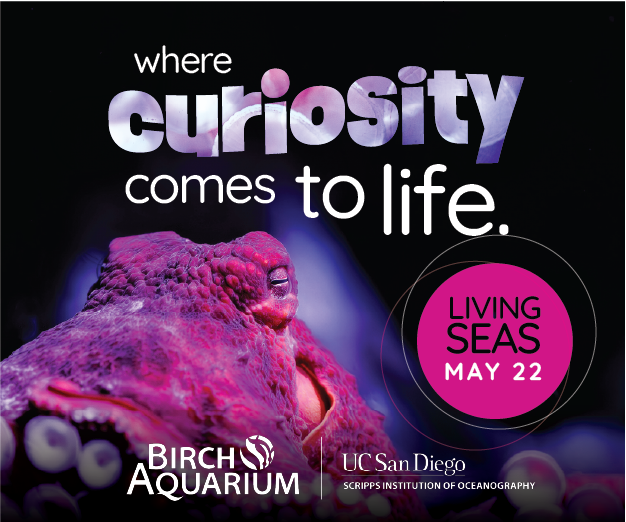2025 - Birch Aquarium