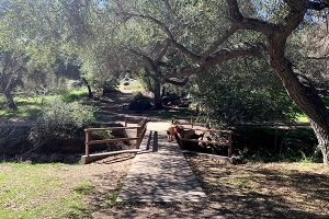 Local Parks with Hidden Trails for Kids