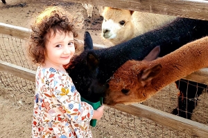 Where to Visit Farm Animals with your Kids in San Diego
